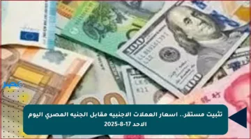 تثبيت مستقر.. أسعار العملات الأجنبية مقابل الجنيه المصري اليوم الأحد 17-8-2025